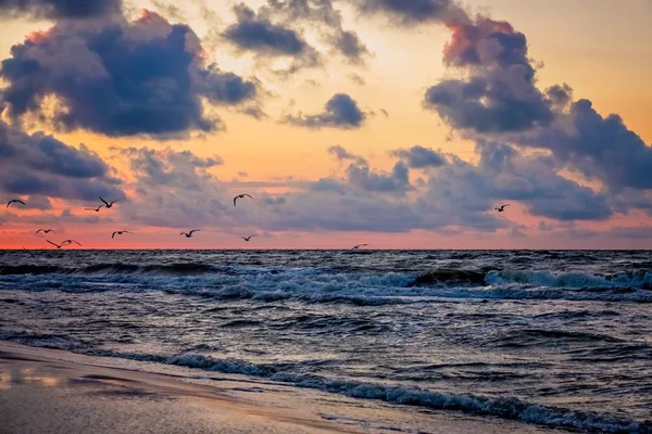 Meeuwen vliegen over de zee-strand bij zonsondergang — Stockfoto