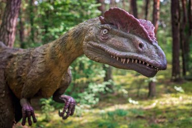 Life sized Allosaurus dinosaur statue  clipart