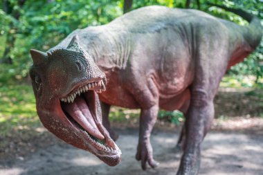 Hayat Allosaurus dinozor heykel boyutlu