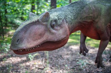 Hayat Allosaurus dinozor heykel boyutlu
