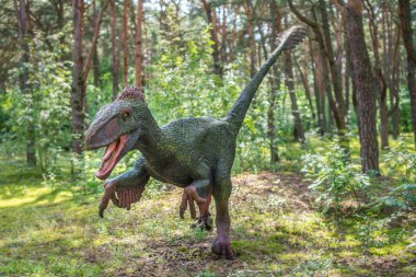 Raptor dinozor heykel bir ormanda yaşam boyutlu