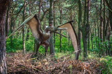 Hayat Pterodactyl dinozor heykel boyutlu