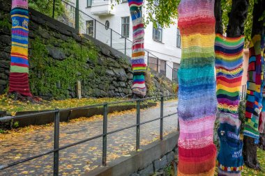 Bergen renkli malzeme kaplı ağaçlar