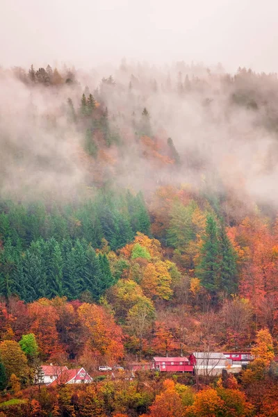 Hillside içinde Bergen sonbaharda evler. — Stok fotoğraf