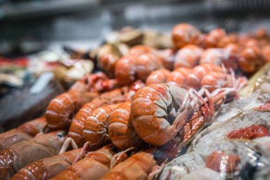 Taze karides ve deniz ürünleri soğuk görüntüleme