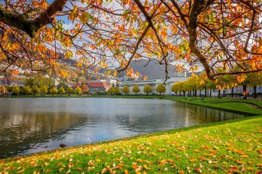 Bergen Lille Lungegardsvannet gölde sonbahar
