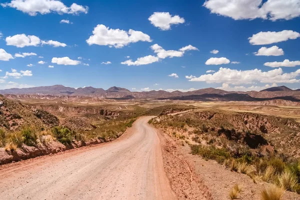 Straße durch die bolivianische Wildnis — Stockfoto