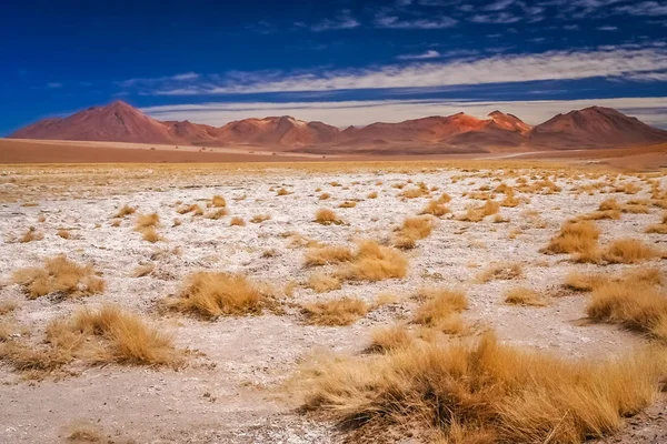 Paisagem seca e desolada no sul do Altiplano — Fotografia de Stock