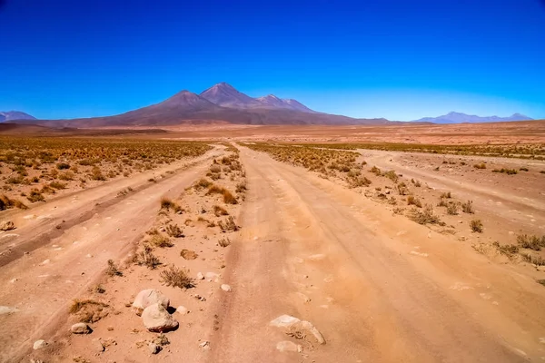 Corrugated road in Altiplano Stock Photo