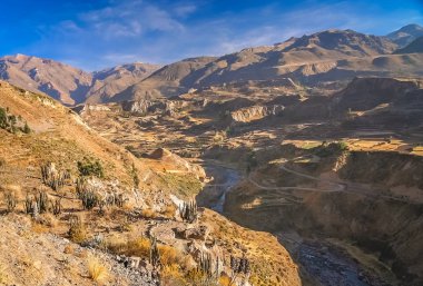 Peru derin kanyon Colca görünümünü