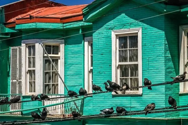 Černé pidgeons sedí na moci a telefonní kabely — Stock fotografie