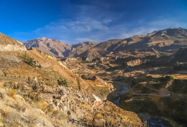 Vista do profundo Canyon Colca no Peru — Fotografia de Stock