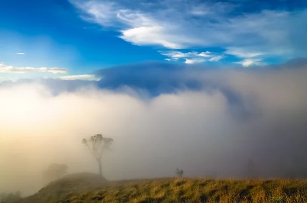 Blick vom gunung rinjani Vulkan — Stockfoto