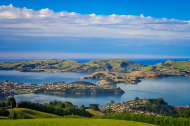 Dunedin kasaba ve yukarıdaki tepelerden görüldüğü gibi bay