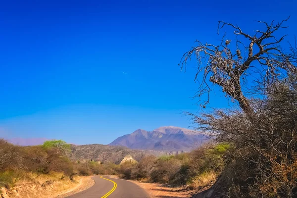 Estrada através da paisagem seca acidentada do norte da Argentina — Fotografia de Stock