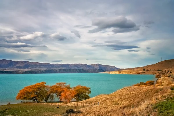 Красивое торкизное озеро осенью в Новой Зеландии — стоковое фото