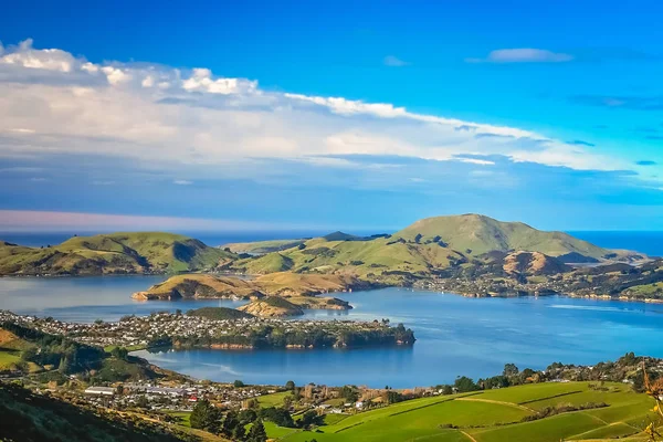 Dunedin kasaba ve yukarıdaki tepelerden görüldüğü gibi bay