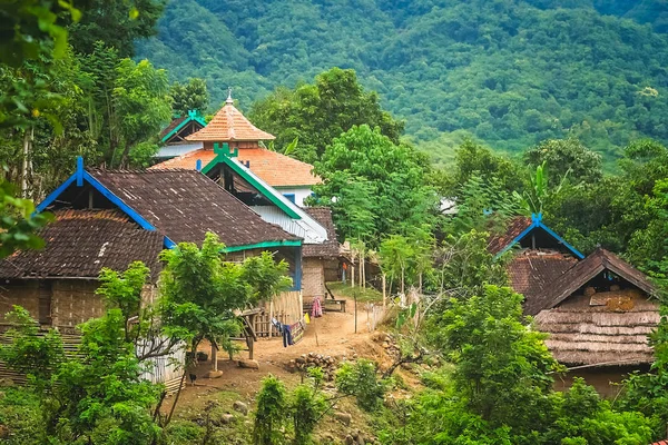 Село в джунглях — стокове фото