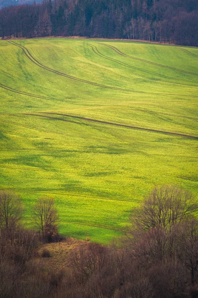 Vue aérienne d'un champ vide — Photo