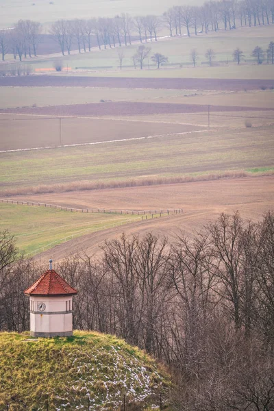 De petits chasseurs guettent les champs — Photo