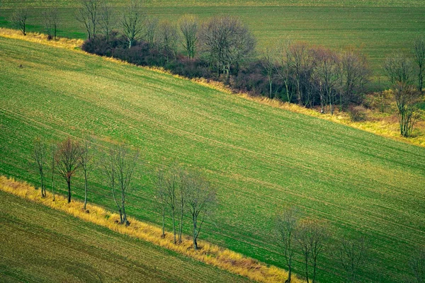 Champ vert vide en hiver — Photo