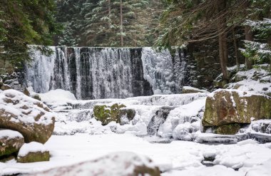 Karpacz vahşi şelale