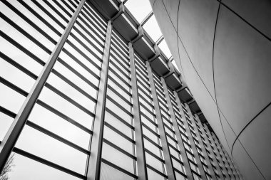 Charles Darwin merkezinde Doğal Tarih Müzesi