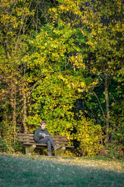 Reading book in a park — Stock Photo, Image