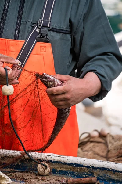 Pescador desenredando peces de la red —  Fotos de Stock