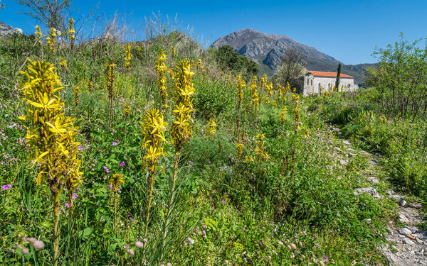 Walking path in Stari Bar