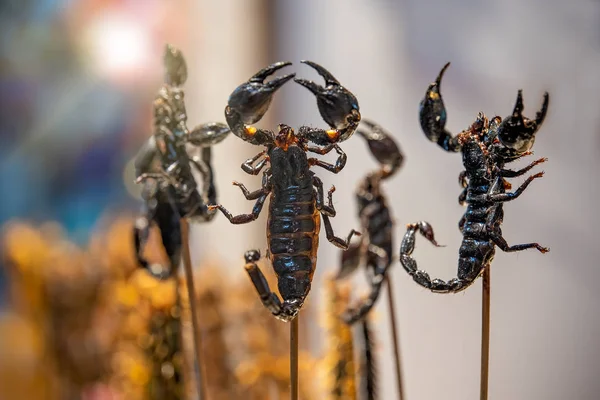 Roasted and fried scorpions on skewers — 스톡 사진