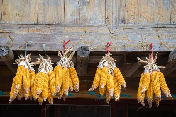 Куча кукурузы, повешенной сухой — стоковое фото