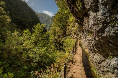 Yağmur ormanı yolu dağlar vadi içine