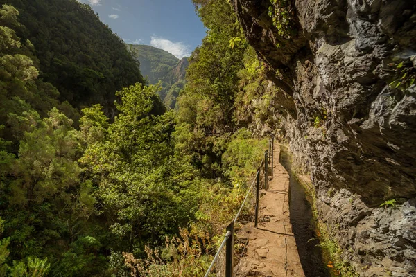 Yağmur ormanı yolu dağlar vadi içine