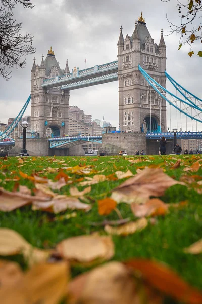 Londen, Engeland - november 2019. Tower Bridge en gele herfst — Stockfoto