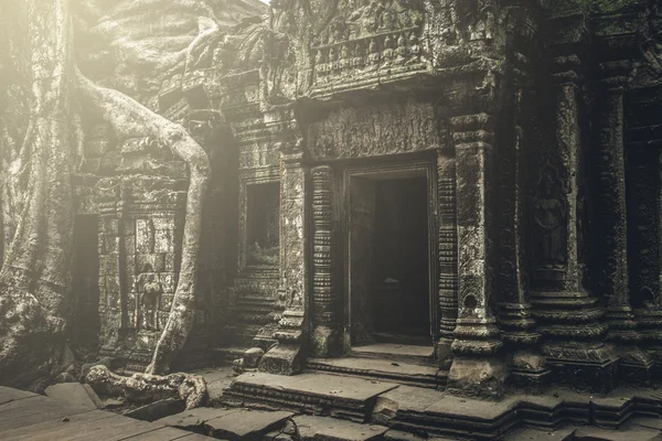 Tempio di angkor wat — Foto Stock