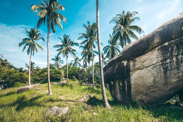 Tropical landscape of Thailand — Stock Photo, Image