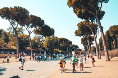 Uzun boylu ağaçlar ve ancint binalar ile Roma'nın tipik bir manzara