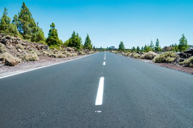 yol altında doğada açık gökyüzü Teide Milli Parkı'nda Tenerife