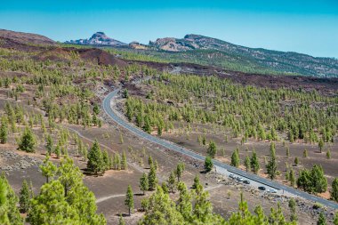 Renkli görünüm Tenerife Teide Milli Parkı