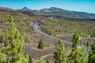 Renkli görünüm Tenerife Teide Milli Parkı