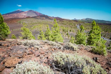 Pico del Teide - Tenerife, muhteşem yanardağ 's çevre ile