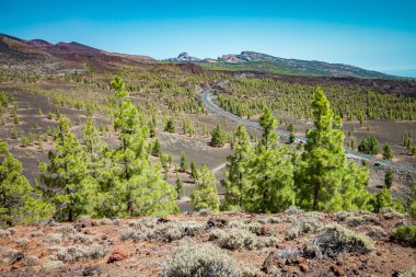 Renkli görünüm Tenerife Teide Milli Parkı