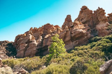 Şaşırtıcı kaya oluşumları Tenerife Teide Milli Parkı