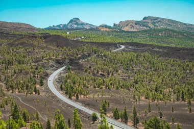 Teide Milli Parkı