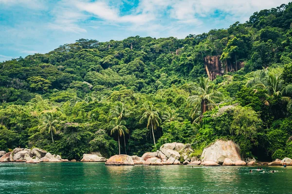 hill ve zümrüt deniz yüzeyinde yoğun orman