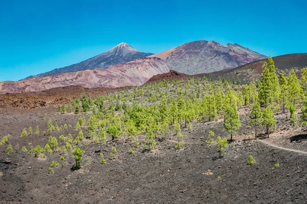 Pico Del Teide Spektakulära Vulkan Teneriffa Med Sin Omgivning — Stockfoto