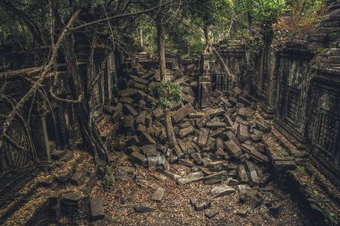 Bir harap Tapınak, Beng Mealea Kamboçya'da