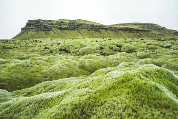 Зеленый исландский пейзаж — стоковое фото