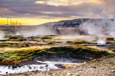 İzlanda'daki sıcak geysers Vadisi
